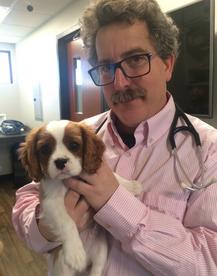 Dr. Howard Coffman, DMV